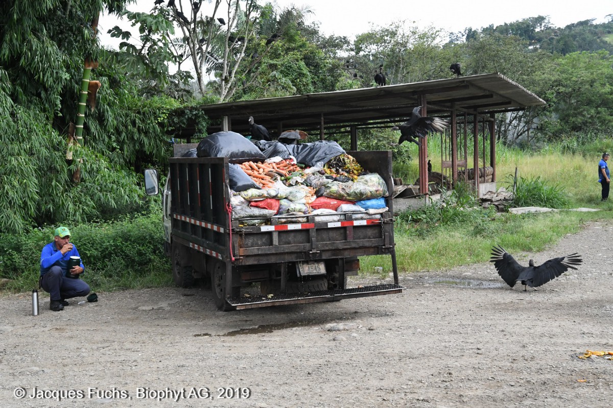 25_23_Costa_Rica